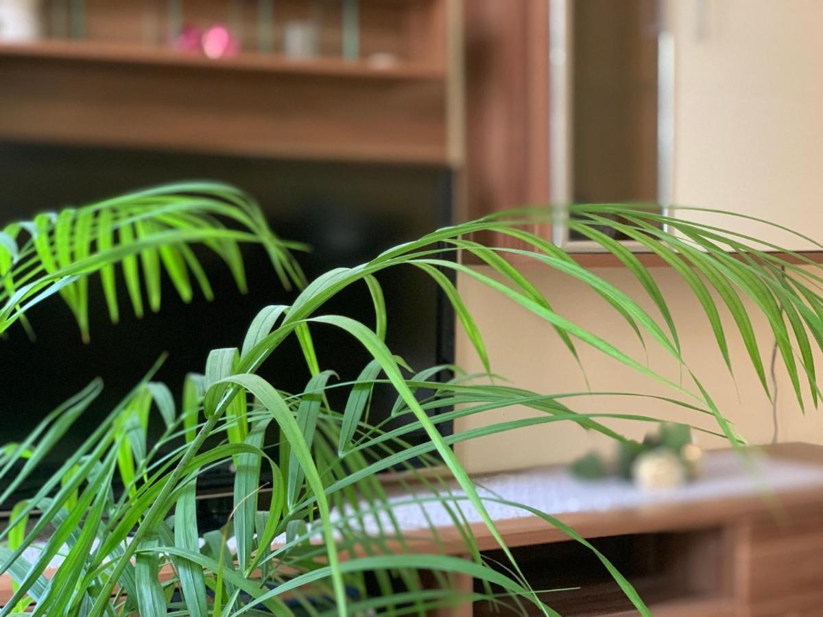 In Der Altstadt Von Apartment